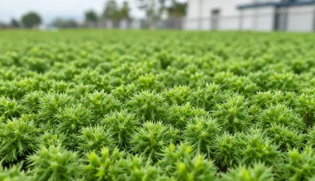 门窗制造应用场景分析:批量生产如何提升效率